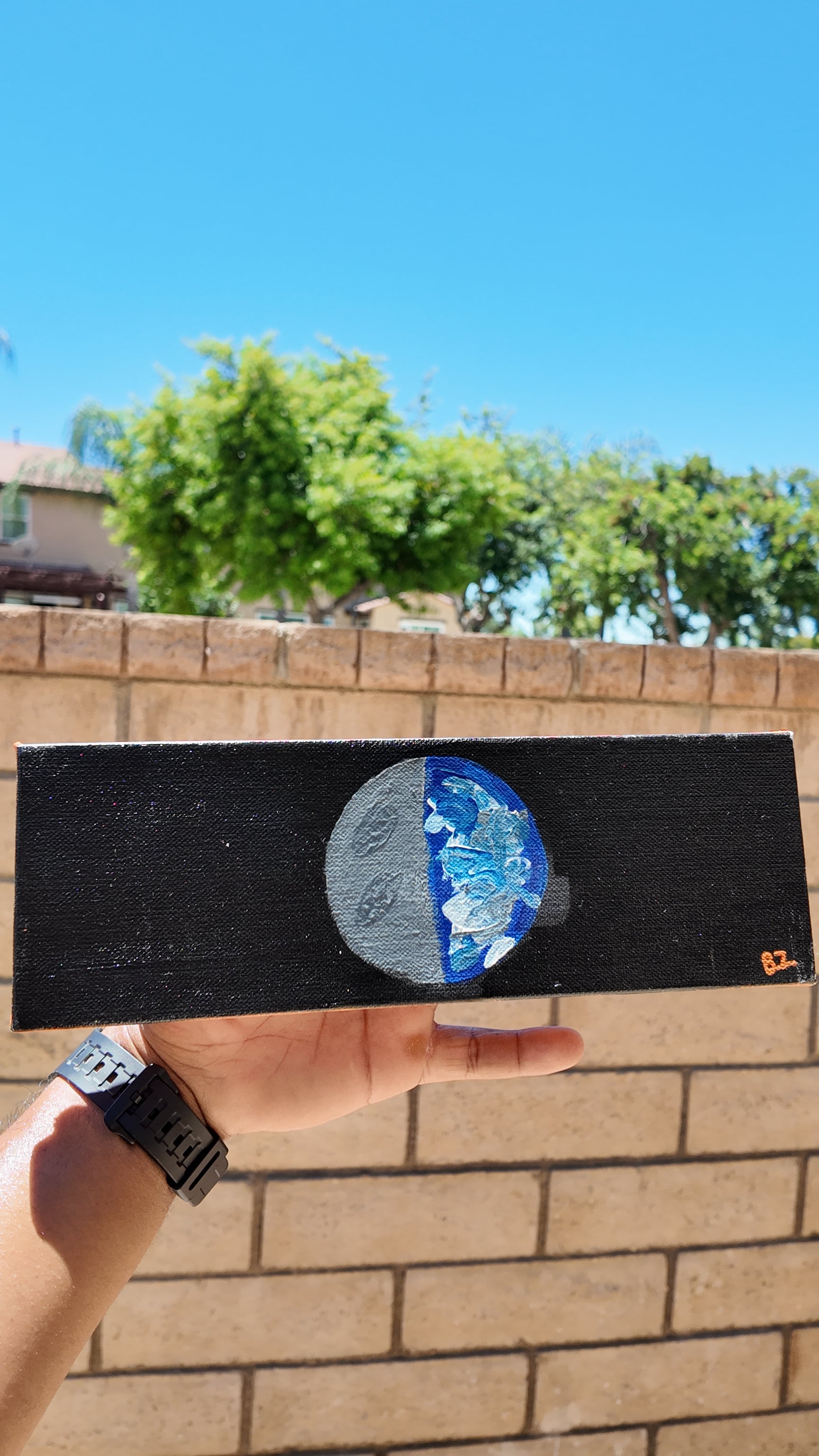 Earth Face (Canvas)