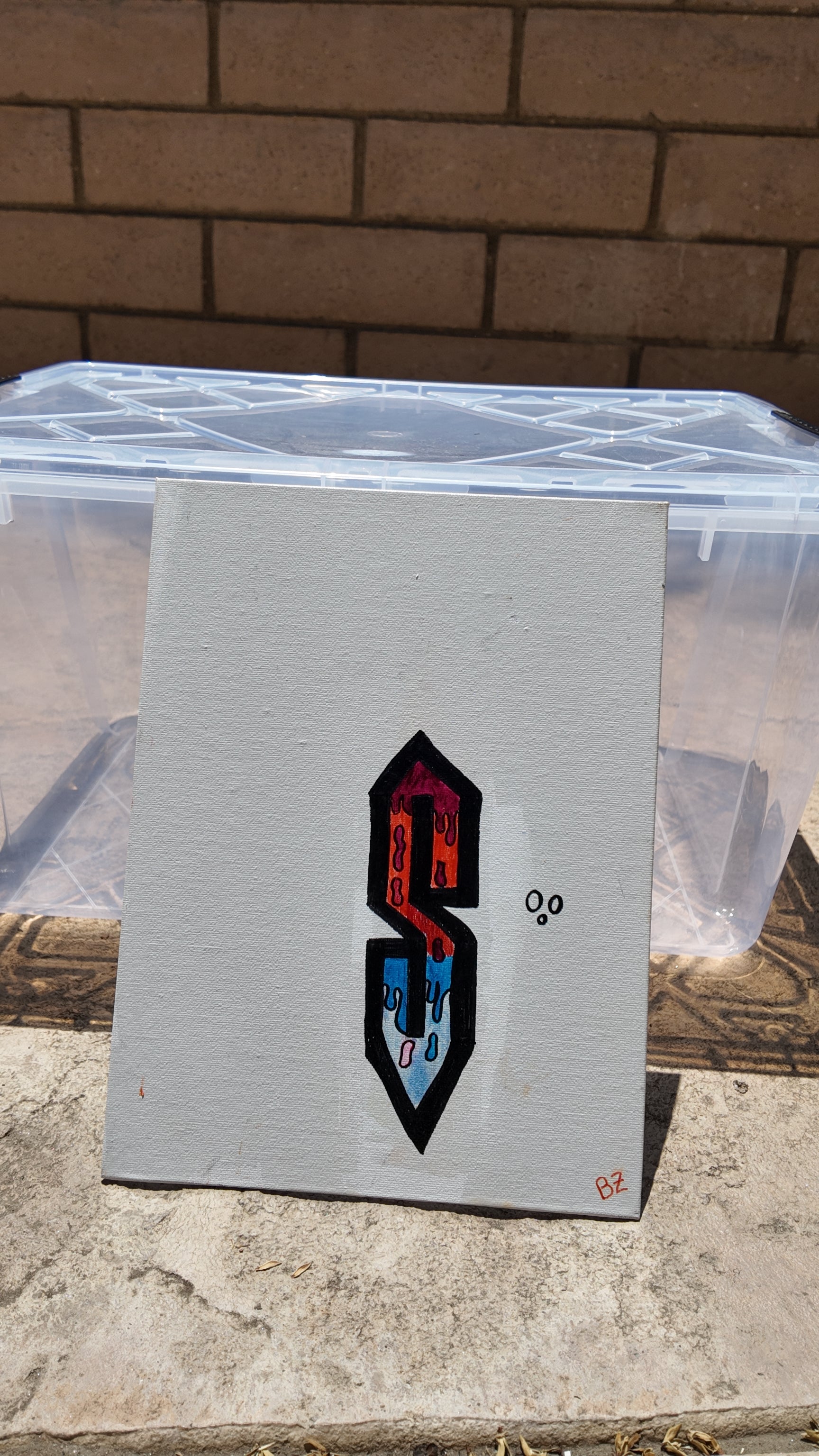 Cool "S" (Canvas)